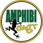 AmphibiCast logo