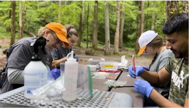 Four people sit at table in Great Smoky Mountains National Park while taking samples on salamanders.