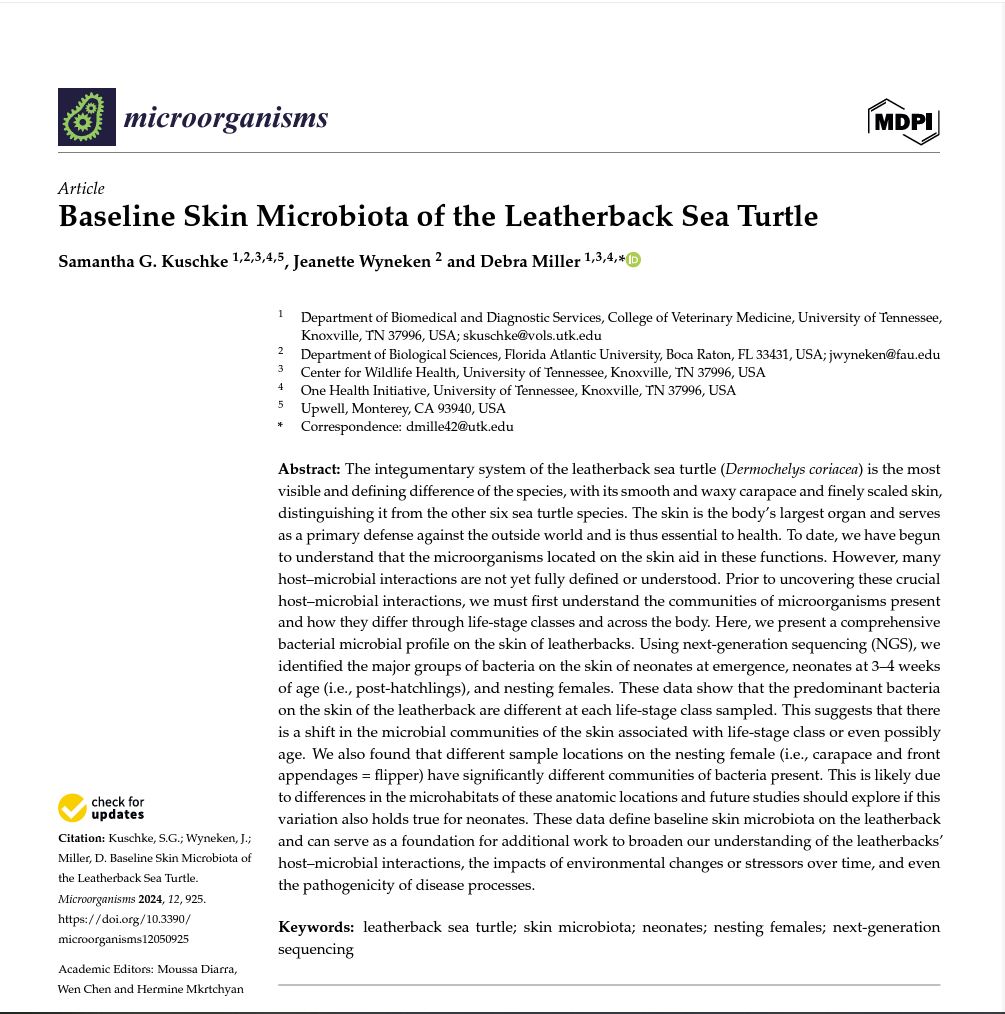 Screenshot of article on the baseline skin microbiota of leatherback sea turtles