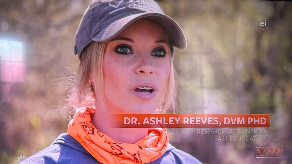 UTCVM graduate Dr. Ashley Reeves featured on 
